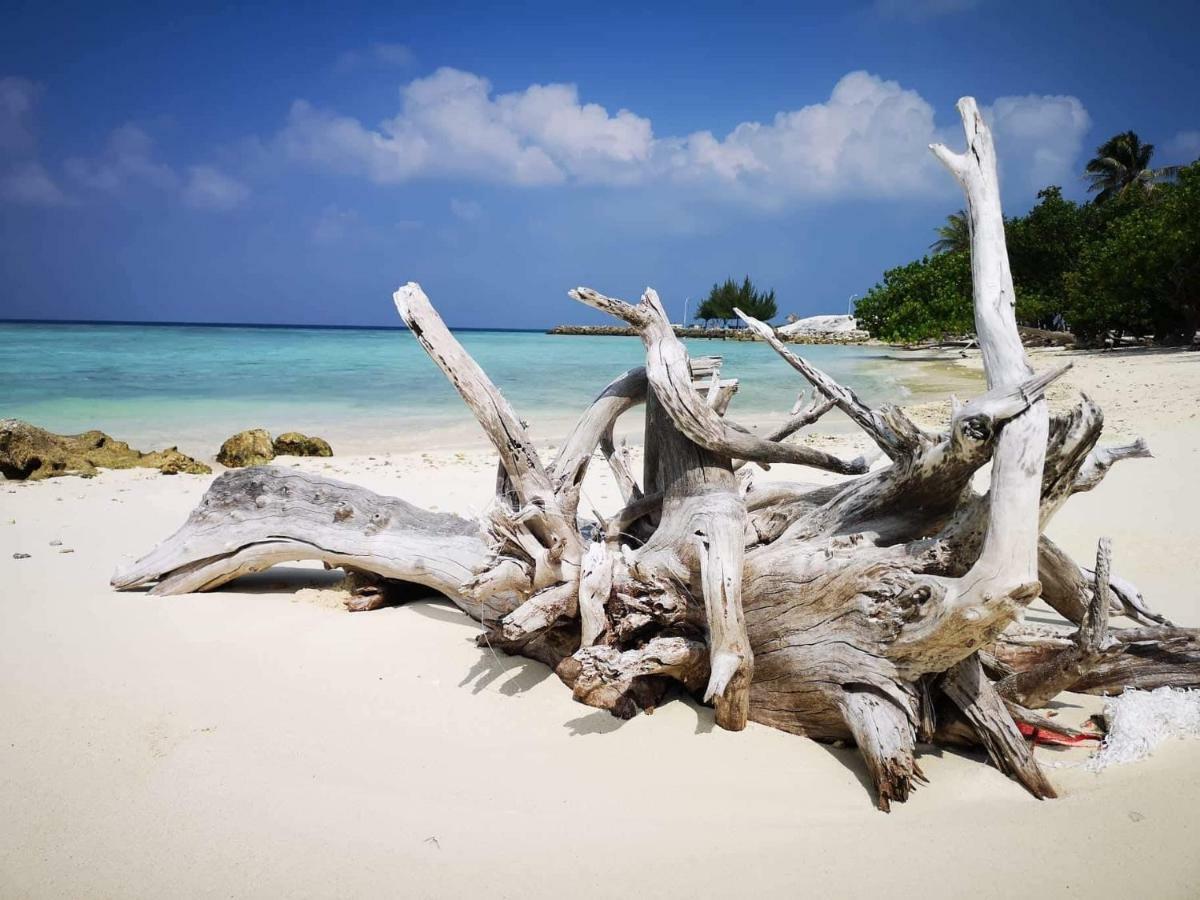 String Wave Maldives Hotel Gulhi Exterior foto